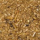 Beaphar Comida para erizos, , large image number null
