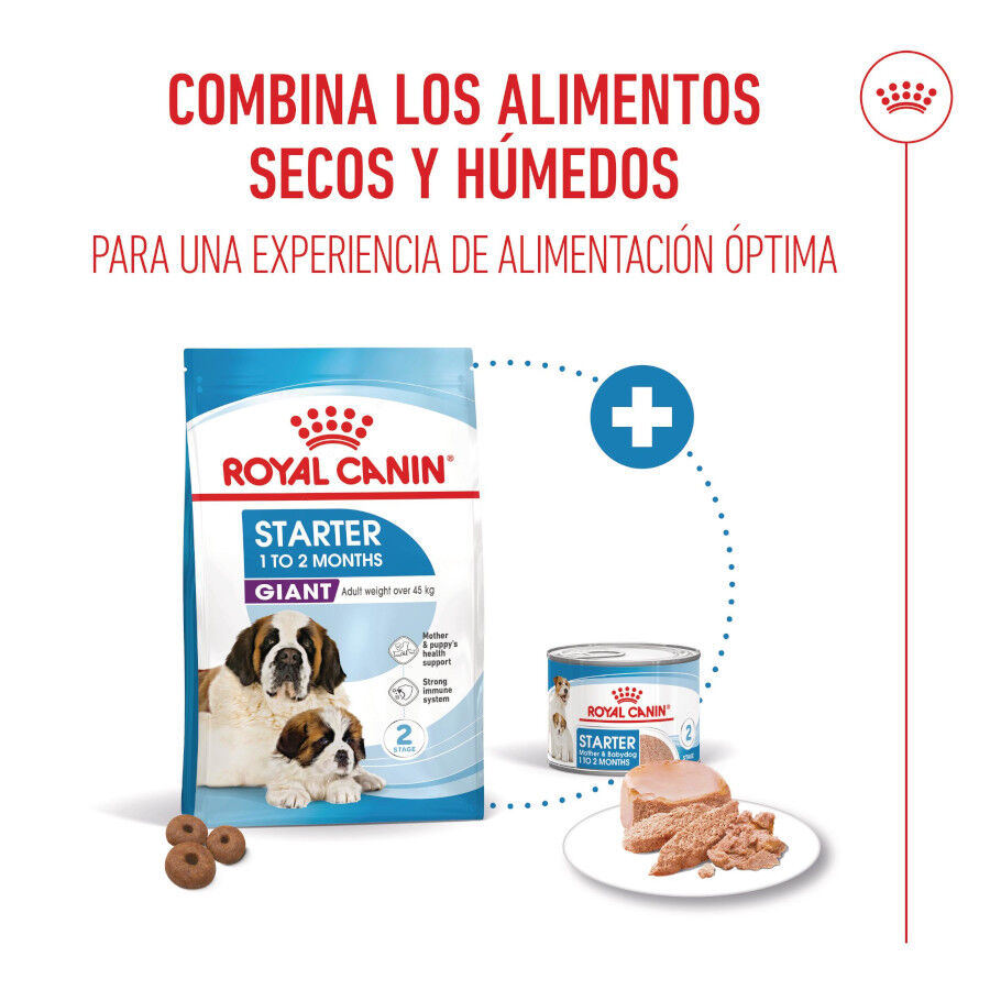 Royal Canin Starter Puppy Giant Pienso para perros thumbnail