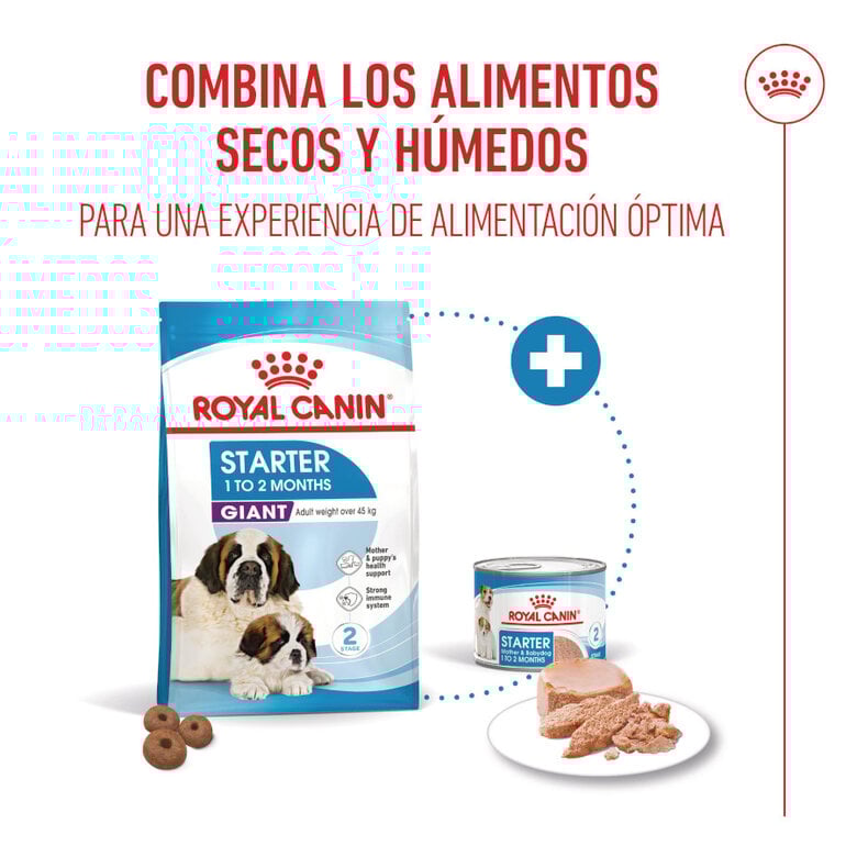 15 kg Royal Canin Starter Puppy Giant Pienso para perros,  Imagen numero 6 15 kg Royal Canin Starter Puppy Giant Pienso para perros, , large Imagen numero 6