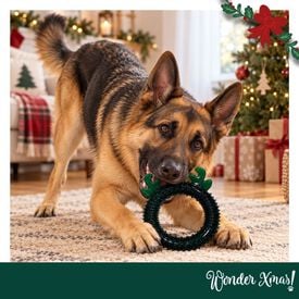 Wonder Christmas Aro de Reno Juguete para perros