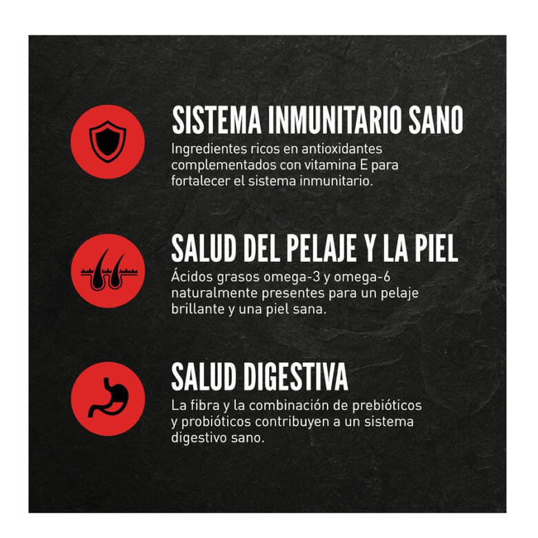 11 kg Orijen Puppy pienso para perros,  Imagen numero 4 11 kg Orijen Puppy pienso para perros, , large Imagen numero 4