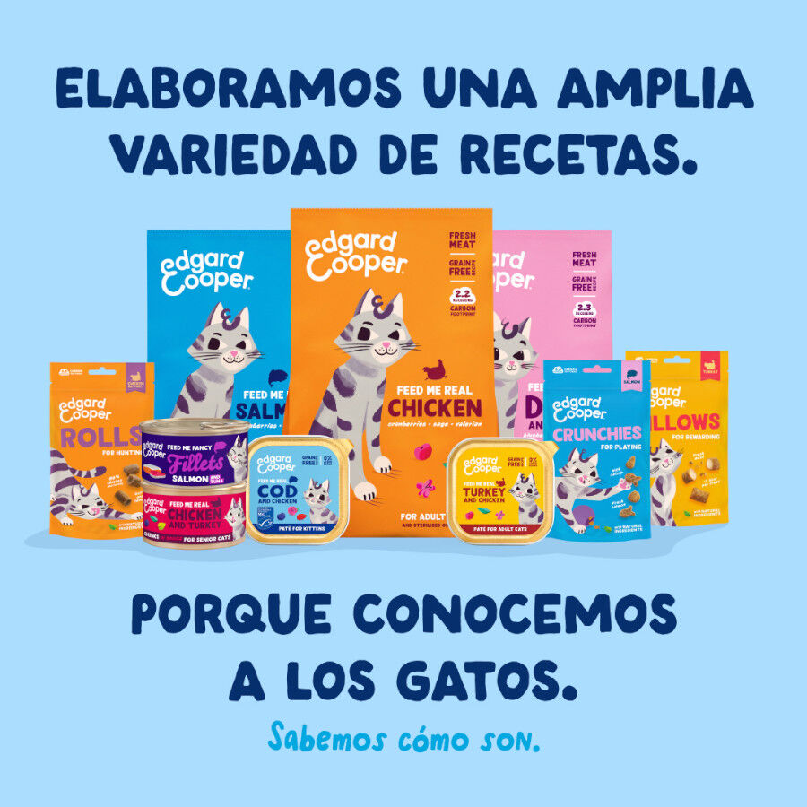 70 g Edgard & Cooper Filetes de At&uacute;n lata para gatos, , large Imagen numero 8