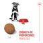 15 kg Royal Canin Puppy Maxi pienso para perros, , large indicador imagen numero 4
