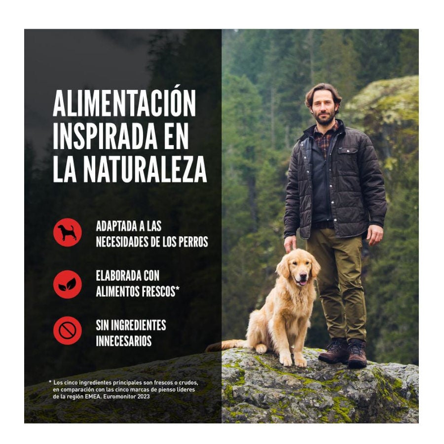 Orijen Senior pienso para perros thumbnail