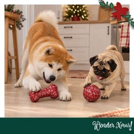 Wonder Christmas Hueso y Pelota Juguete para perros