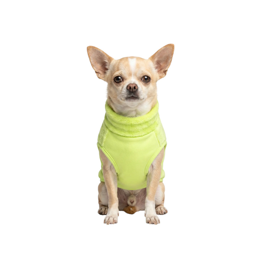 Gotoo Jersey Polar Verde Lima para perros, , large Imagen numero 7