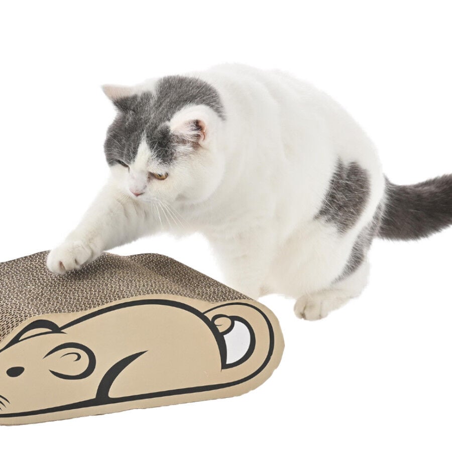 Leeby Miaou tabla rascador de cartón para gatos thumbnail