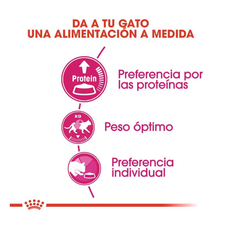 Royal Canin Adult Exigent Protein pienso para gatos thumbnail