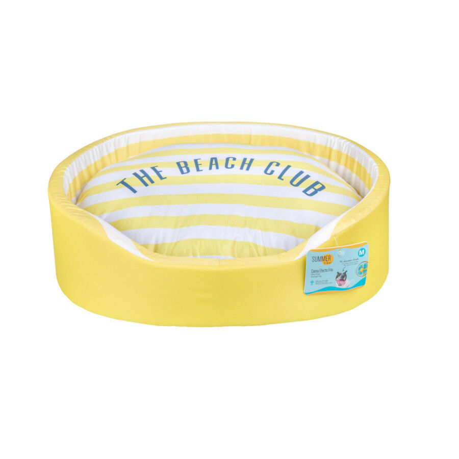 Summer Vibes Cama Refrescante Rayas Amarillo para perros, , large Imagen numero 5
