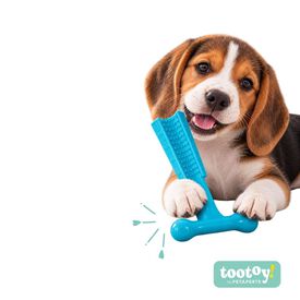 Tootoy! Puppy Hueso Martillo Azul Juguete para perros