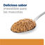 Hill's Prescription Diet k/d Cuidado Renal lata para perros, , large indicador imagen numero 8