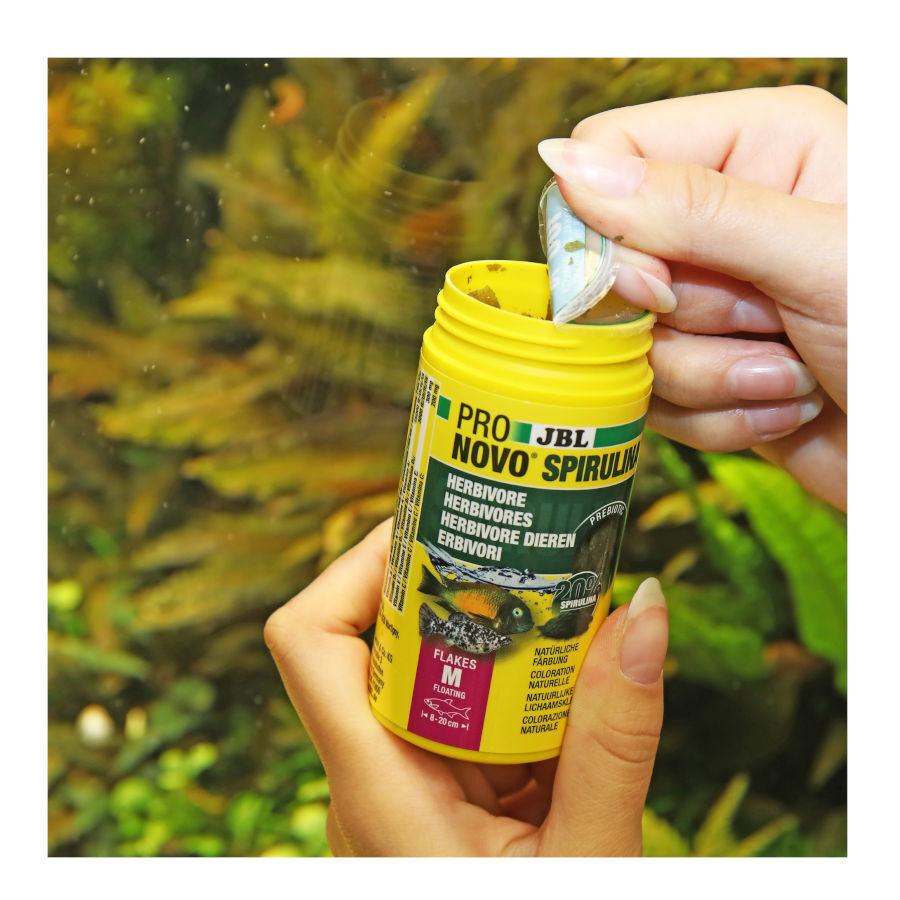 JBL Spirulina Escamas Vegetales para peces alguívoros thumbnail