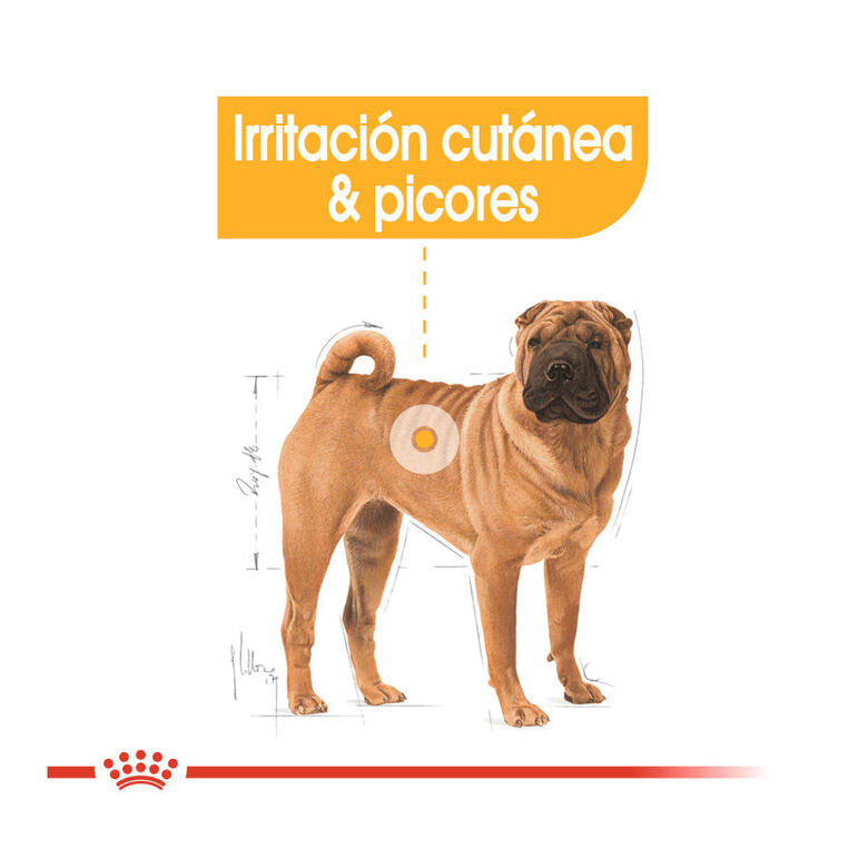 Royal Canin Dermacomfort Medium pienso para perros thumbnail