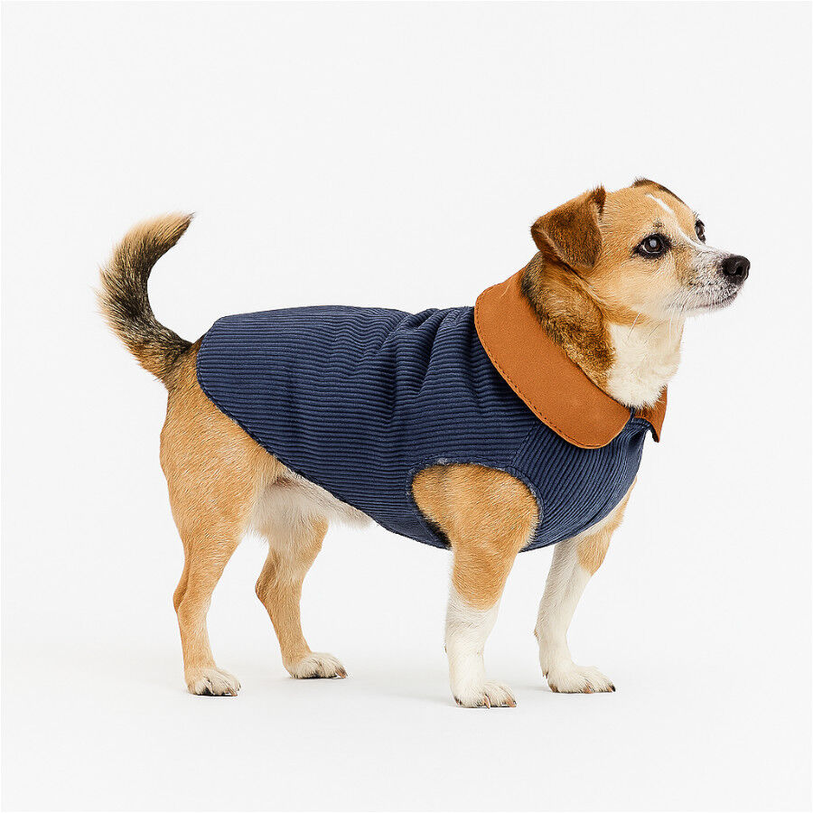 Outech Abrigo Estilo Aviador Rosa y Azul para perros thumbnail