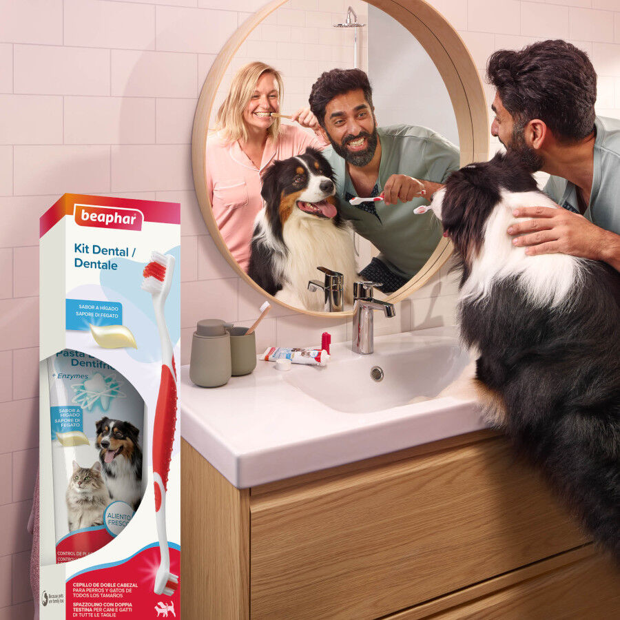 Beaphar Pack Dental Pasta y Cepillo para Perros y Gatos thumbnail