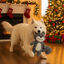 Wonder Christmas Peluche Ardilla Navideña para perros, , large indicador imagen numero 3