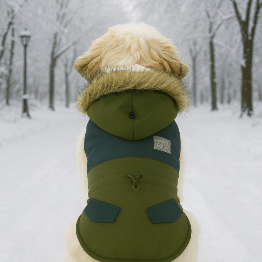 Outech Abrigo Impermeable Verde con Bolsillo para perros thumbnail