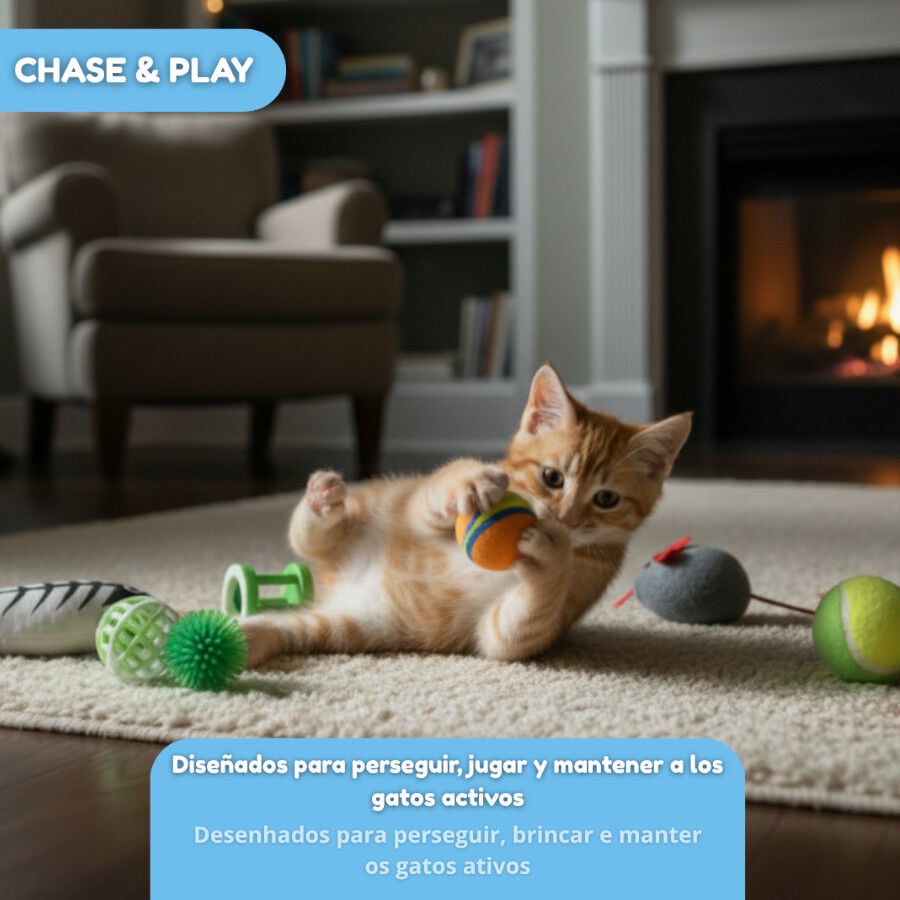 Tootoy! Caja de Juguetes Variados para gatos thumbnail