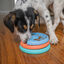 Outward Hound Puppy Lickin' Layers Juguete Interactivo con Chuches para cachorros, , large indicador imagen numero 2