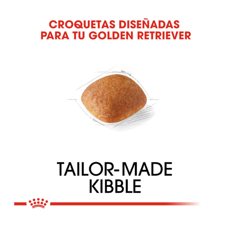 12 kg Royal Canin Adult Golden Retriever pienso para perros,  Imagen numero 5 12 kg Royal Canin Adult Golden Retriever pienso para perros, , large Imagen numero 5