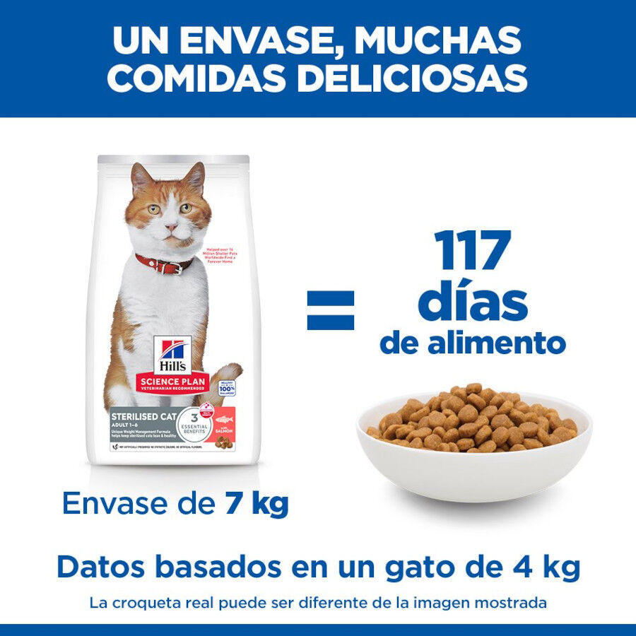 10 kg Hill's Science Plan Sterilised Adult Salm&oacute;n pienso para gatos, , large Imagen numero 6