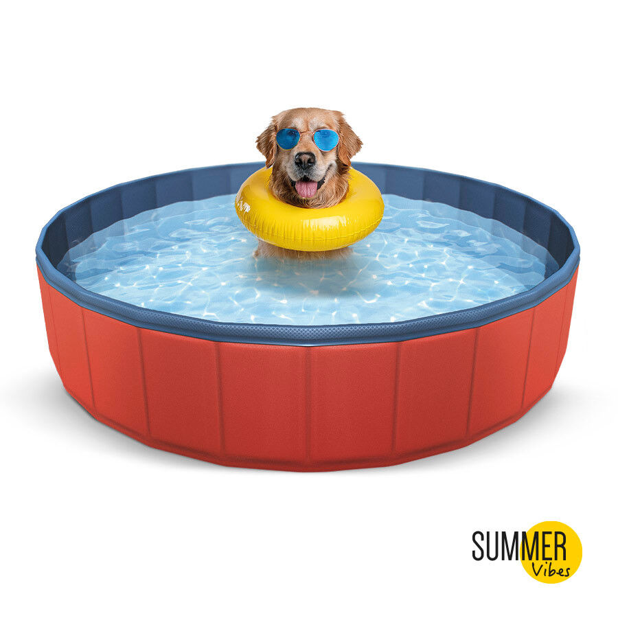 Summer Vibes Piscina Roja para perros thumbnail