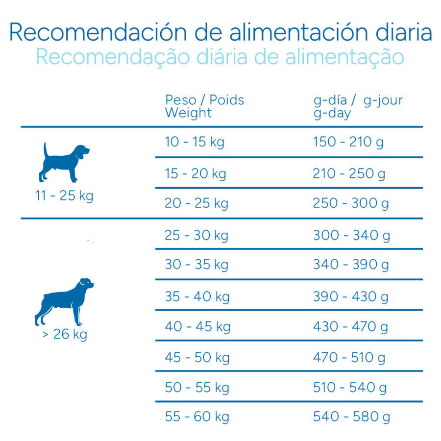 12 kg Criadores Cient&iacute;fico Senior Pienso para perros de razas medianas y grandes, , large Imagen numero 9