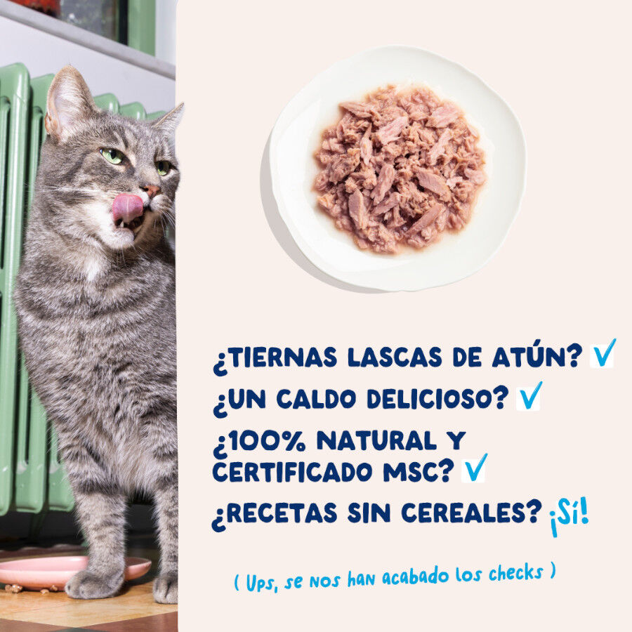 70 g Edgard & Cooper Filetes de At&uacute;n lata para gatos, , large Imagen numero 4