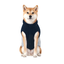 Gotoo Chaqueta Azul y Gris para perros, , large indicador imagen numero 7