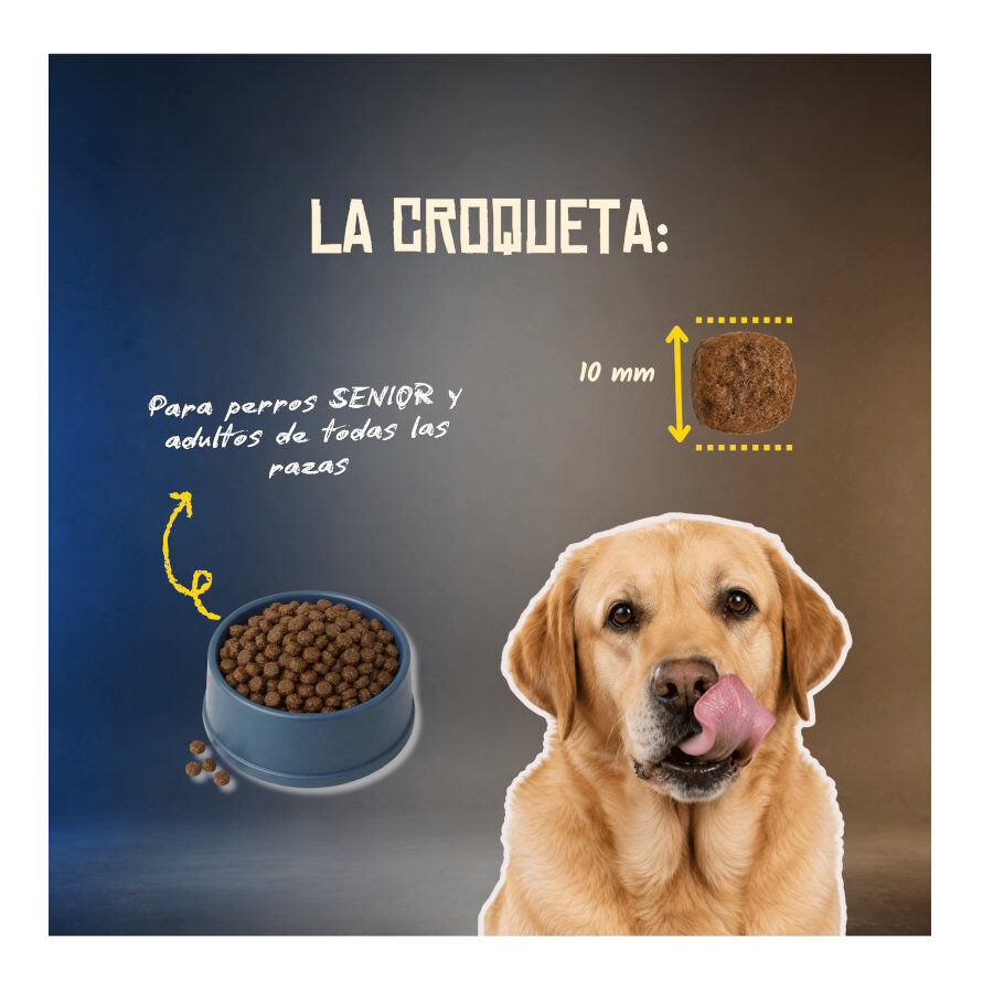 10 kg Lenda Grain Free Light Senior pienso para perros, , large Imagen numero 6