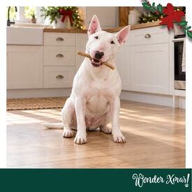 Wonder Christmas Palitos Col&aacute;geno con Pavo Snacks para perros