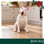 1 pack x 15 uds. Wonder Christmas Palitos Col&aacute;geno con Pavo Snacks para perros, , large indicador imagen numero 2