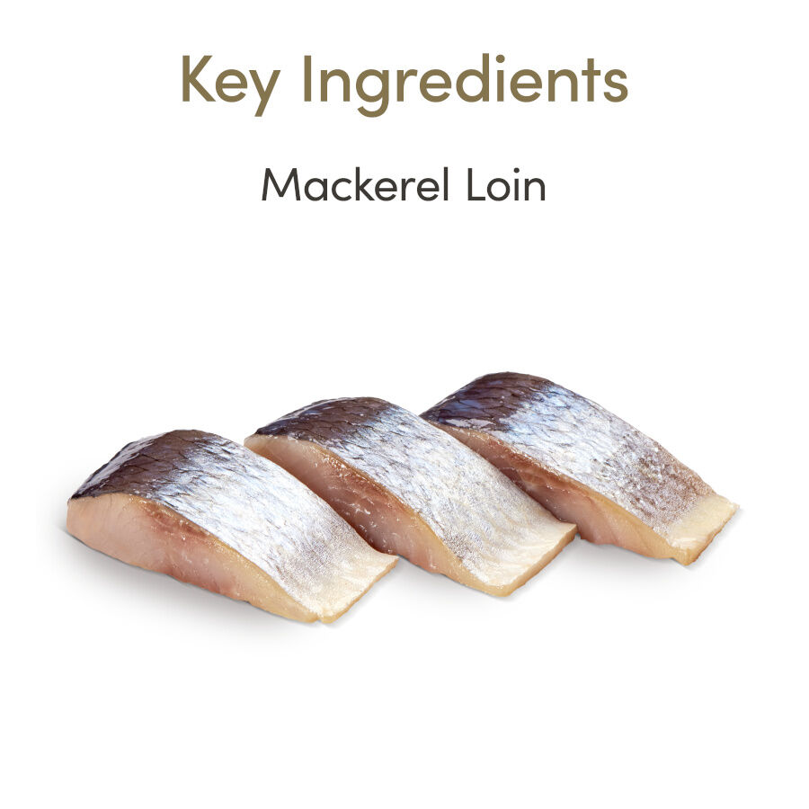 30 g Applaws Lomo de Caballa snack para gatos, , large Imagen numero 5