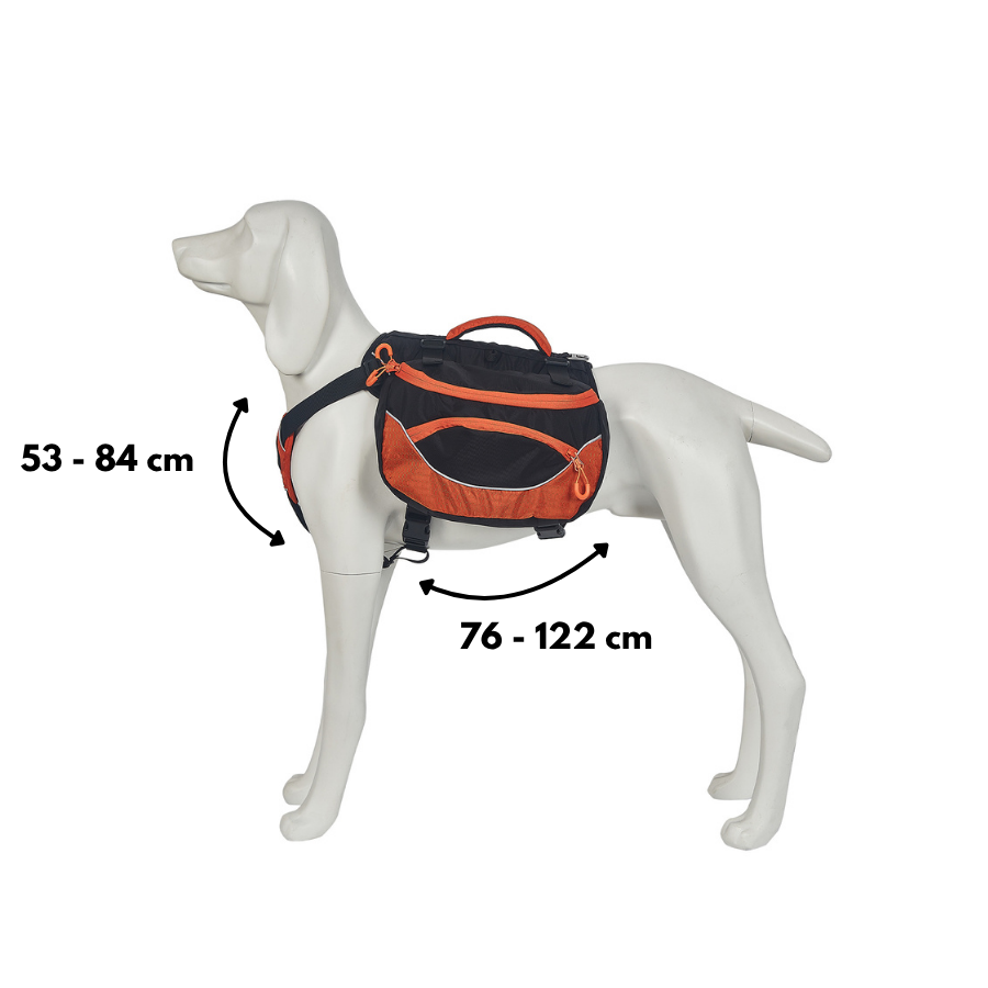 Outech X-perience Arn&eacute;s Multiusos para perros, , large Imagen numero 5