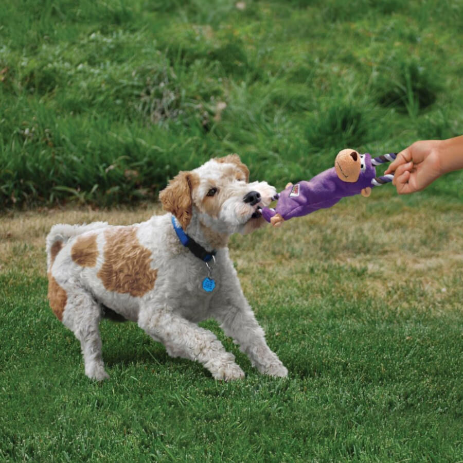 Kong Tugger Knots Rana con cuerda de peluche para perros, , large Imagen numero 2