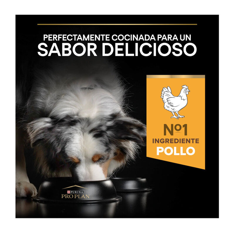 Pro Plan Adult Light/Sterilised Pollo pienso para perros thumbnail