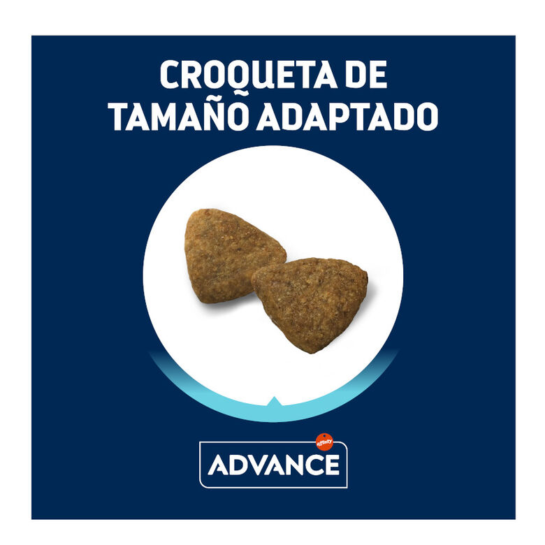 Advance Active Defense Medium Adult Pollo y Arroz pienso para perros thumbnail