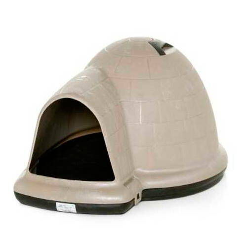 Igloo perro on sale