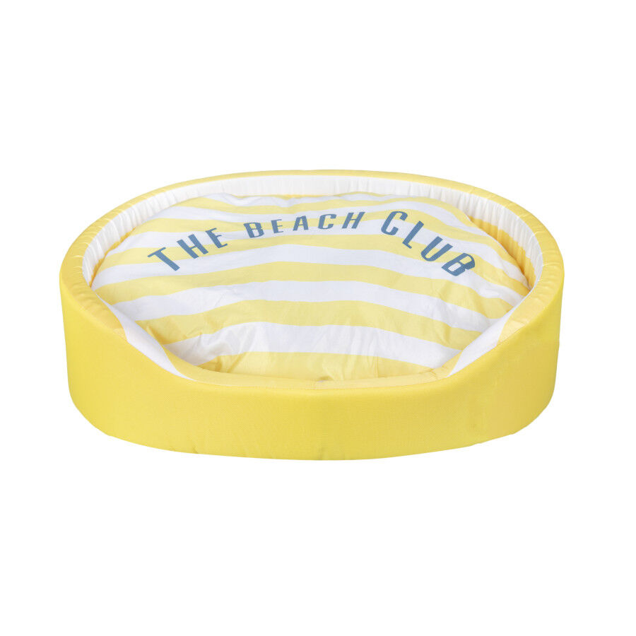 Summer Vibes Cama Refrescante Rayas Amarillo para perros, , large Imagen numero 2