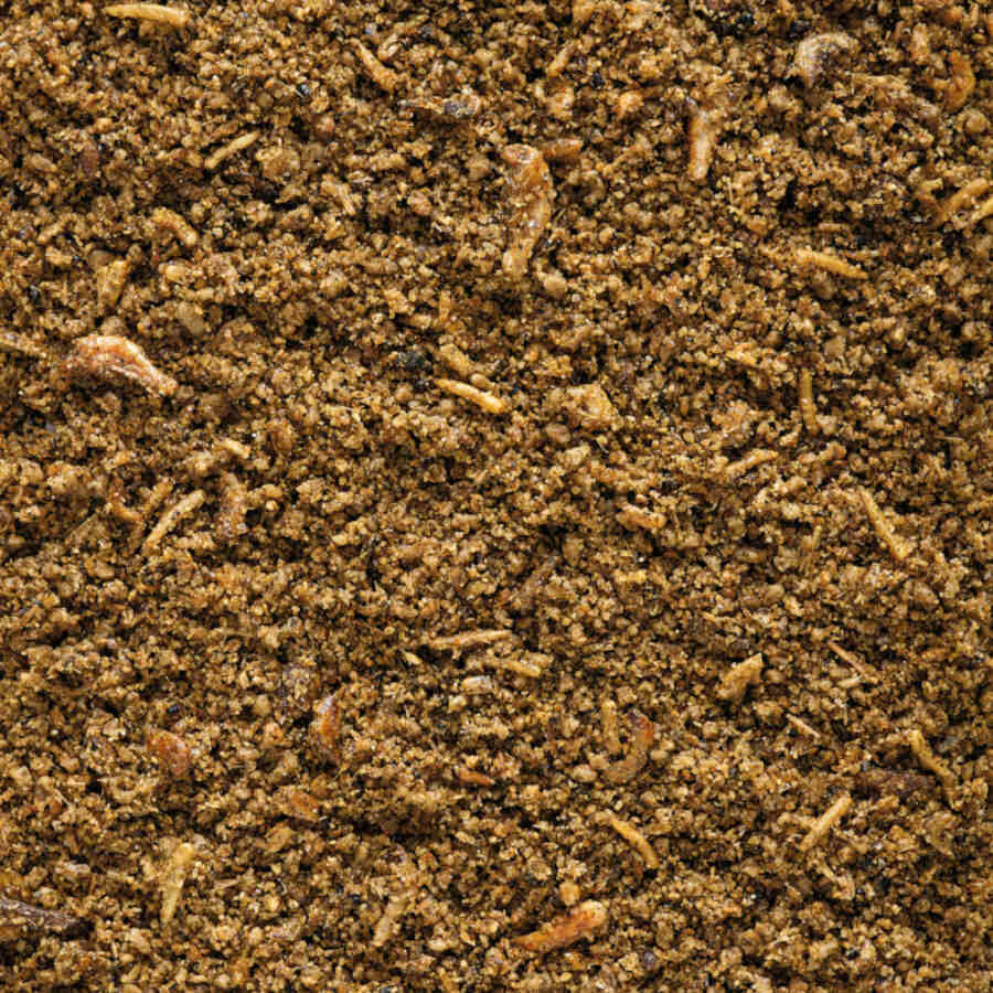 Versele-Laga Nutribird Paté de insectos para pájaros insectívoros thumbnail