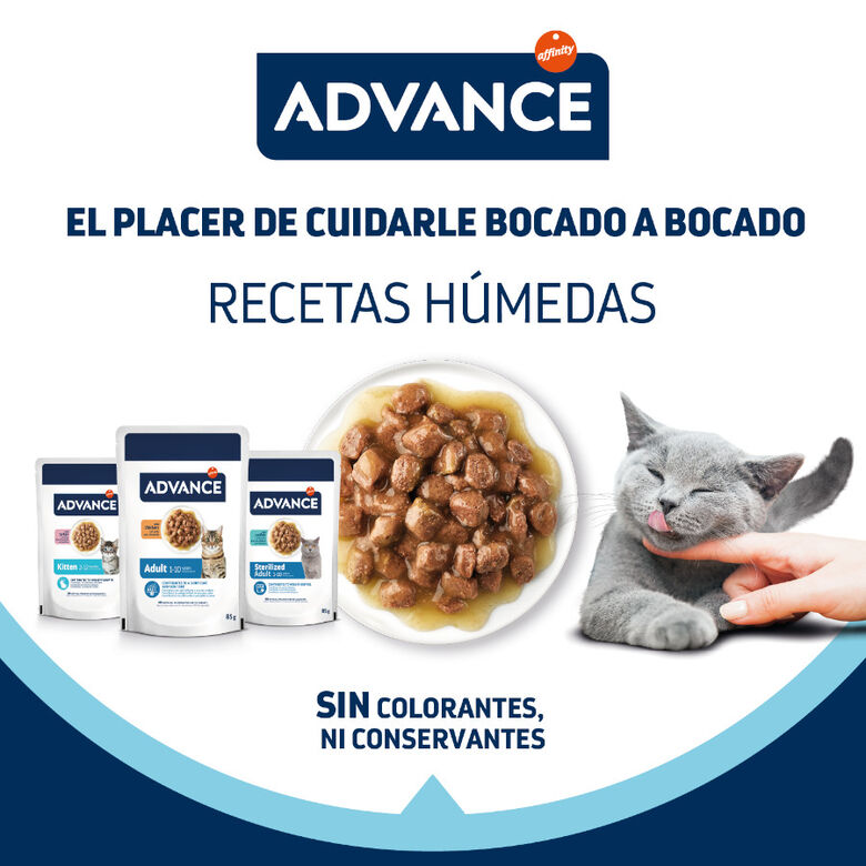 Advance Kitten Pavo en salsa sobre para gatitos thumbnail