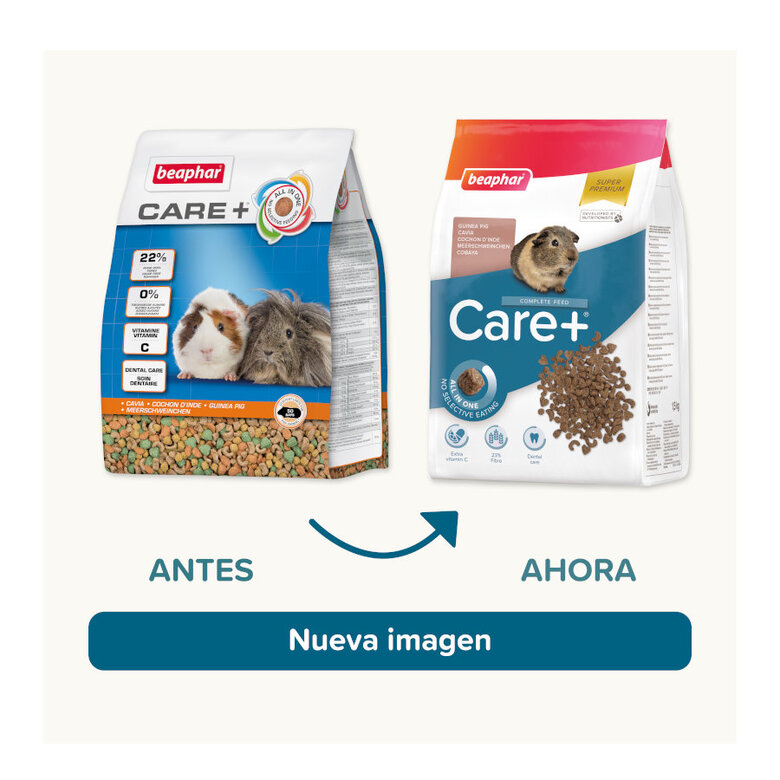 Beaphar Care + Pienso para cobayas,  Imagen numero 2 Beaphar Care + Pienso para cobayas, , large Imagen numero 2