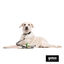 Gotoo Porta bolsas silicona avocado para perros, , large indicador imagen numero 3