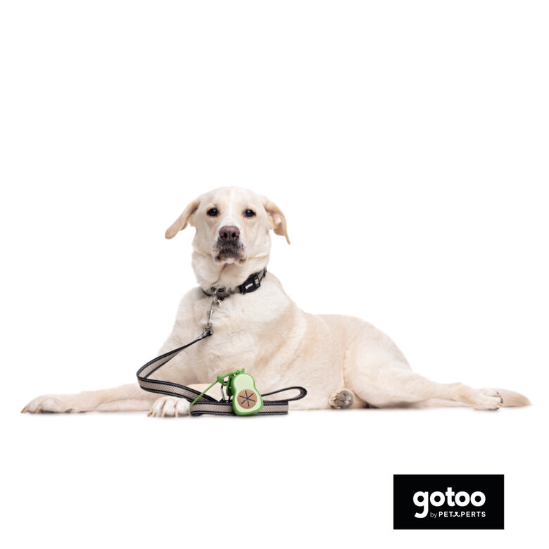 Gotoo Porta bolsas silicona avocado para perros,  Imagen numero 3 Gotoo Porta bolsas silicona avocado para perros, , large Imagen numero 3