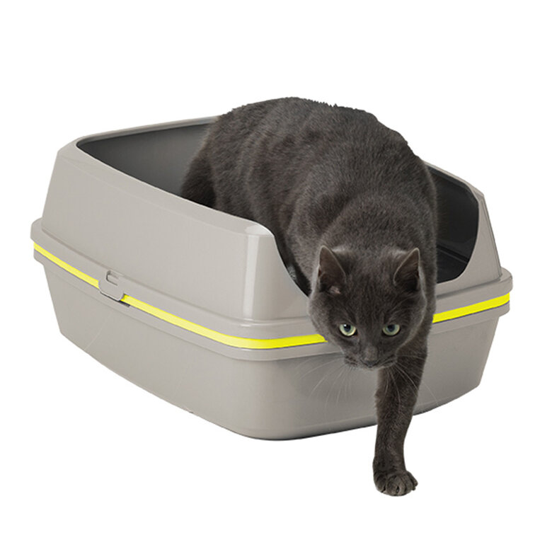 higiene_gatos_moderna_lift_to_sift_01_MODAA70.jpg Imagen numero 1 higiene_gatos_moderna_lift_to_sift_01_MODAA70.jpg Imagen numero 1