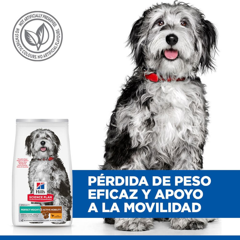 12 kg Hill's Science Plan Perfect Weight y Active Mobility pollo pienso para perros medianos,  Imagen numero 5 12 kg Hill's Science Plan Perfect Weight y Active Mobility pollo pienso para perros medianos, , large Imagen numero 5