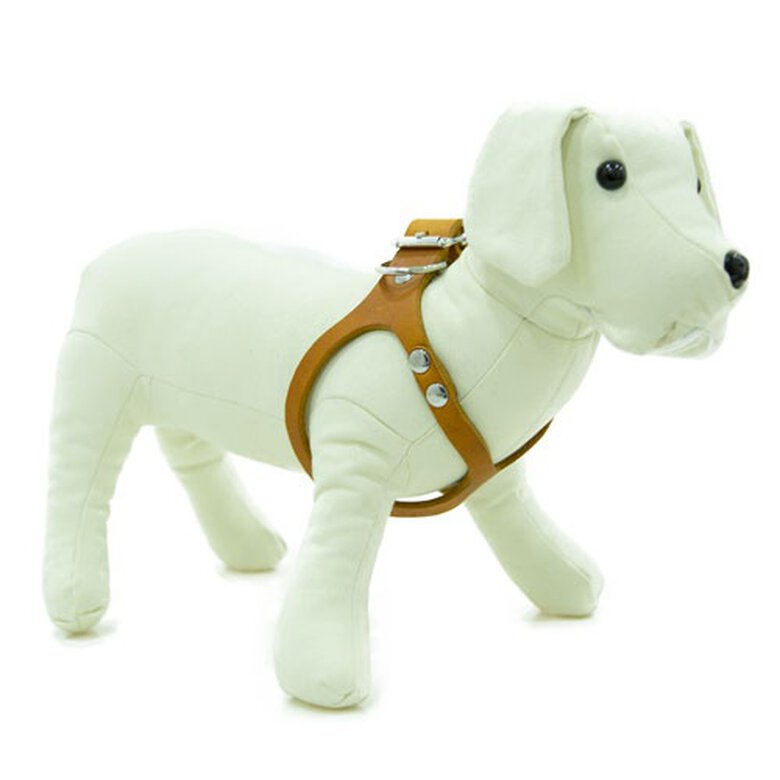 TK-Pet Namur Arnés de Cuero Cognac para perros,  Imagen numero 1 TK-Pet Royale cognac arnés de cuero para perros Imagen numero 1