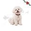 Wonder Christmas Colgante Collar Ping&uuml;ino para perros, , large indicador imagen numero 1