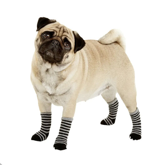 Zapatos antideslizantes de algodón para perros pequeños, calcetines bonitos  para Chihuahua, calcetines para perros calientes