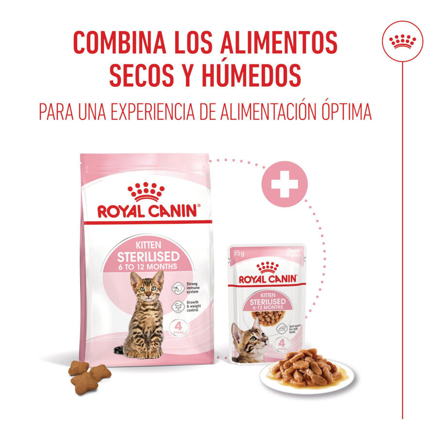 Royal Canin Kitten Sterilised pienso para gatos thumbnail